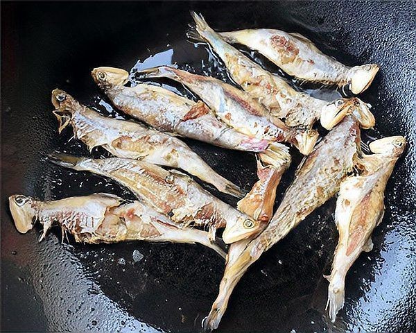 海里刺最多的魚