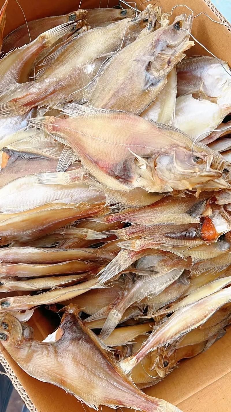 逛魚長什么樣子圖片