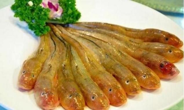 逛魚長什么樣子圖片