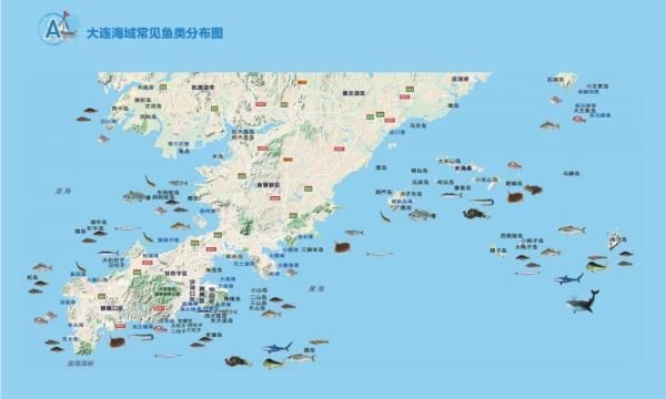 紅頭魚最大多少斤一條