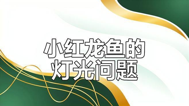 老孫養龍魚有哪些經典案例？