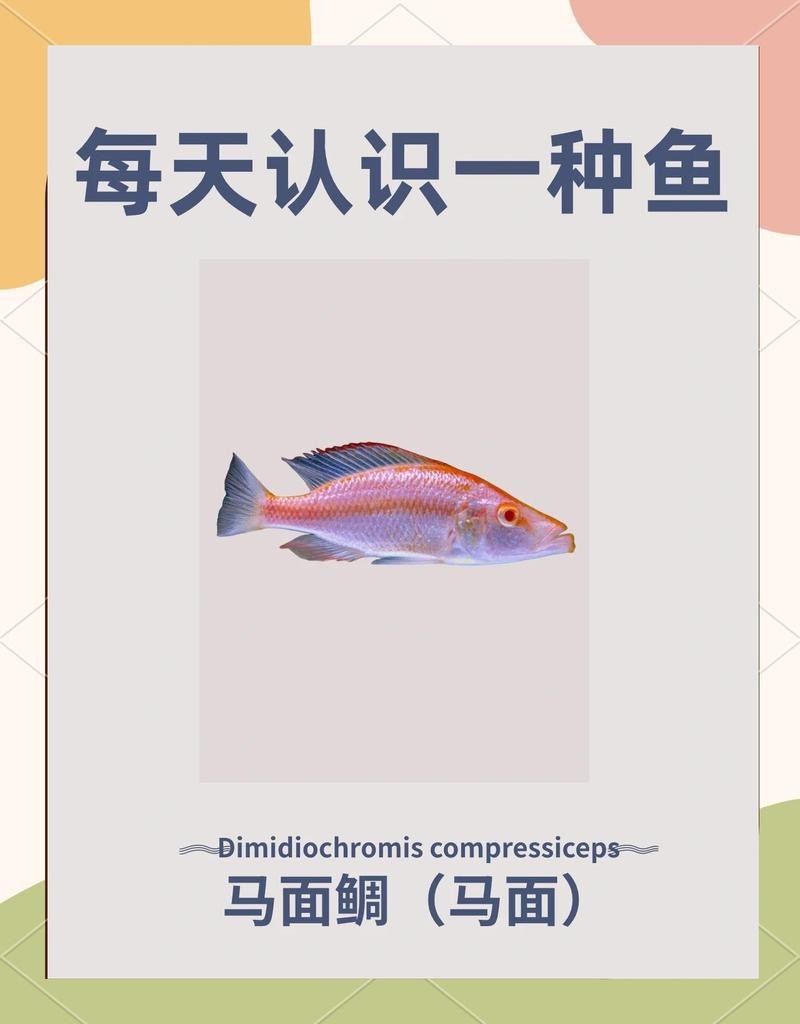 十大最強關刀魚排名