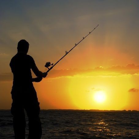 紅鯧魚(yú)為什么很少人買