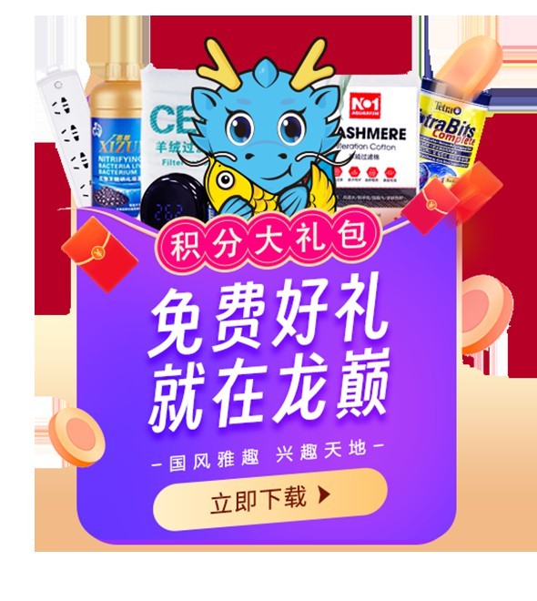 紅龍過背的養護難度如何？