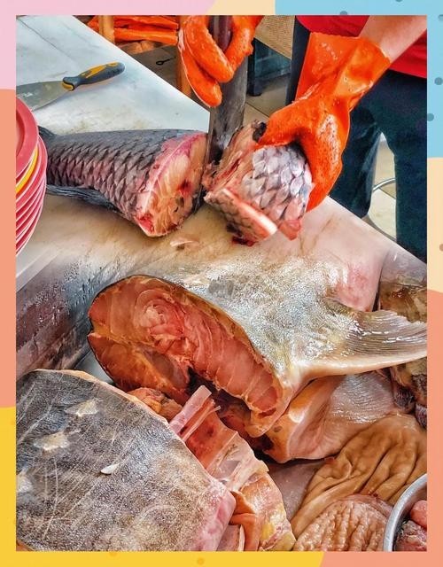 黑色的大魚叫什么龍魚圖片