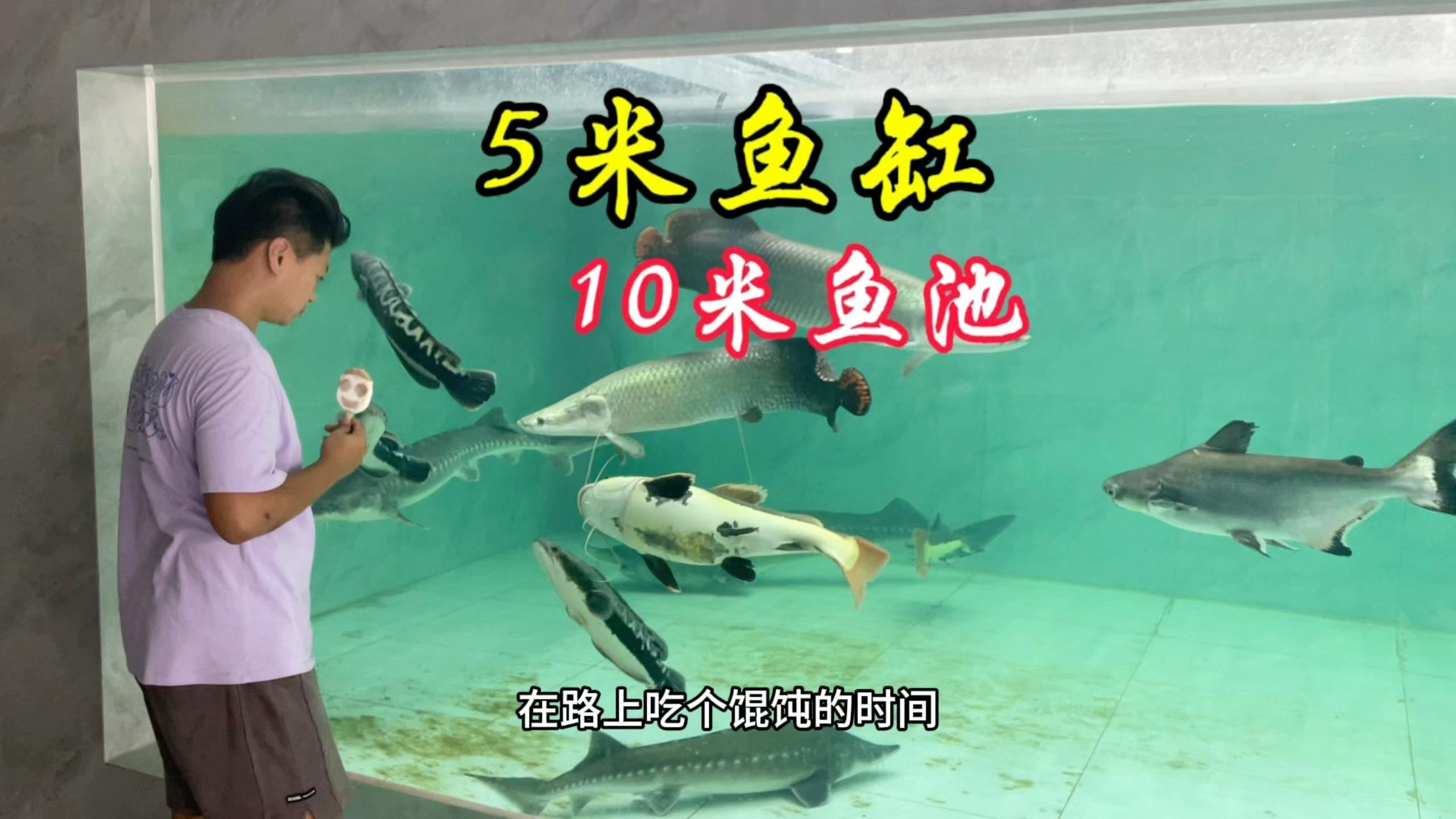 龍龍養(yǎng)魚(yú)視頻有哪些經(jīng)典場(chǎng)景？
