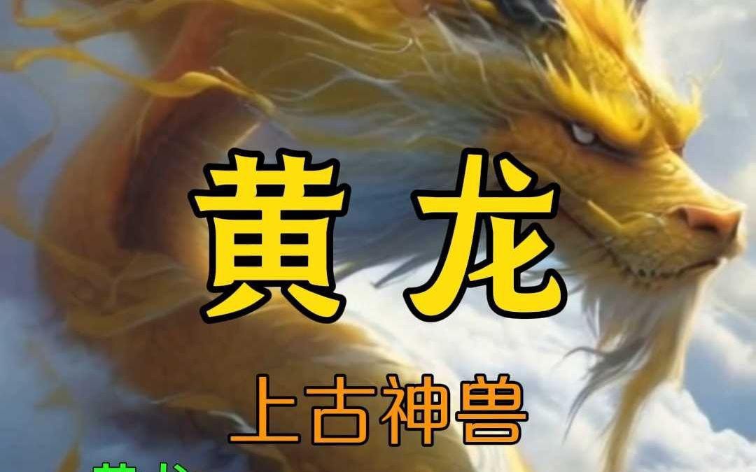 黃龍和金龍的區(qū)別
