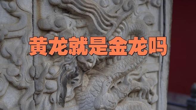 黃龍和金龍的區(qū)別