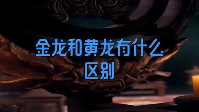 黃龍和金龍的區(qū)別
