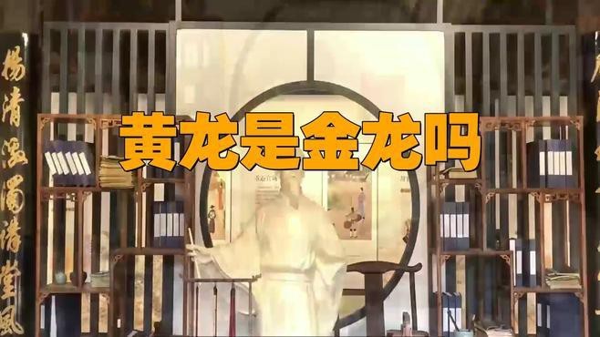 黃龍和金龍的區(qū)別