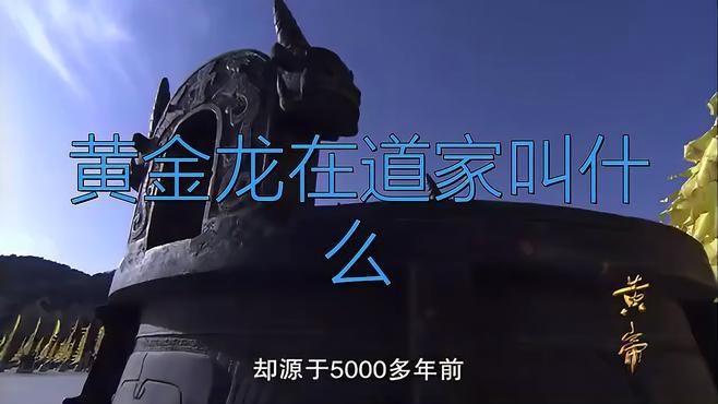 黃龍和金龍的區(qū)別