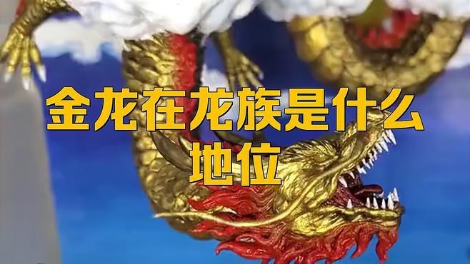 黃龍和金龍的區(qū)別