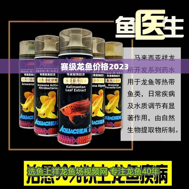 賽級(jí)超神龍魚多少錢一條