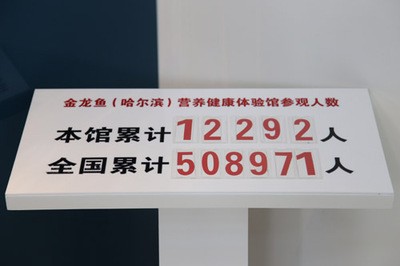 大銀龍魚的飼養成本大概是多少？，大銀龍魚的飼養成本主要由多個維度詳細解析