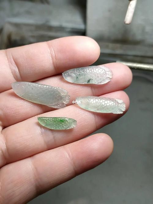 翡翠龍魚圖片