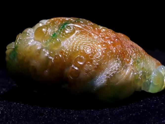 翡翠龍魚圖片
