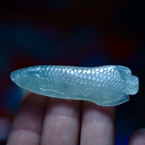 翡翠龍魚圖片