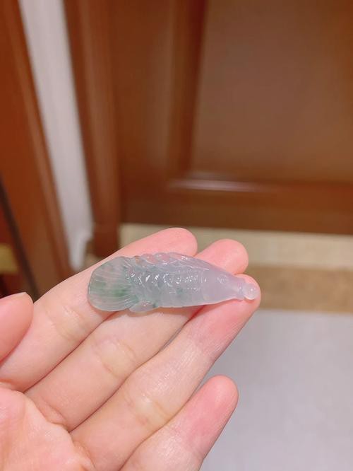 翡翠龍魚圖片