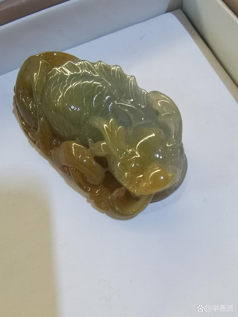 翡翠龍魚圖片