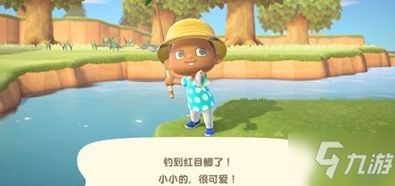 動森各種魚的價格排行