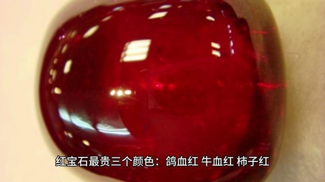 印尼紅最貴的三個(gè)品種