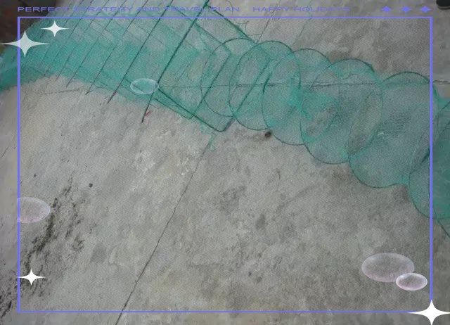 地籠捕黃鱔用什么誘餌