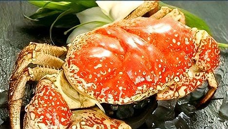 螃蟹品種大全圖 螃蟹品種大全圖 龍魚論壇 第3張