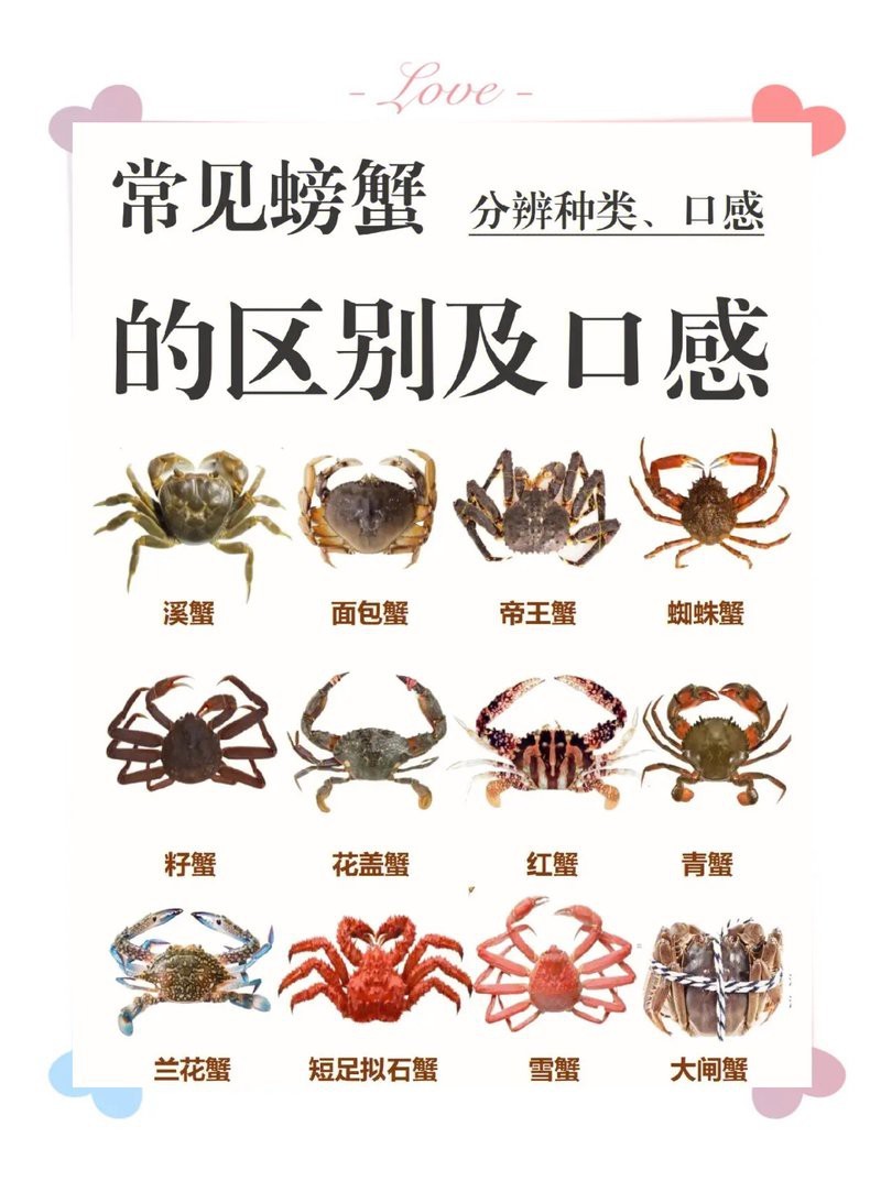螃蟹品種大全圖 螃蟹品種大全圖 龍魚論壇 第5張