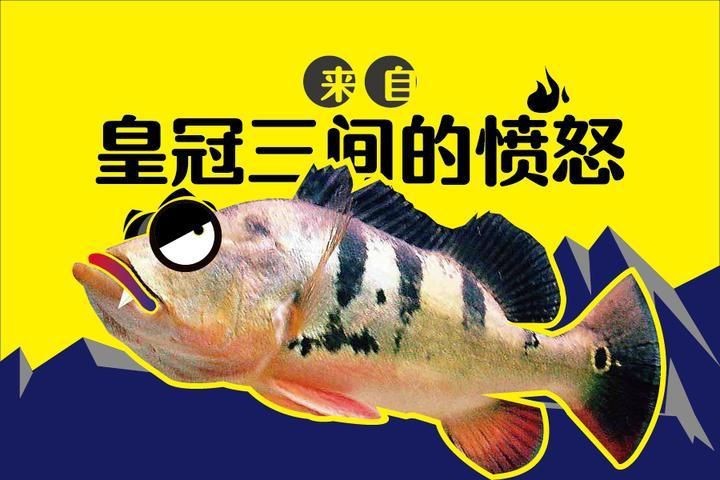 皇冠三間魚