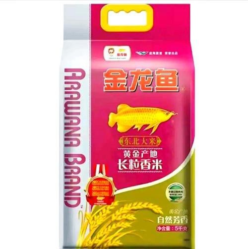 亞馬遜金龍魚價格