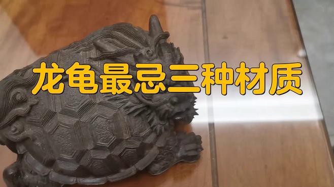有哪些常見的龍龜飾品材質(zhì)？ 有哪些常見的龍龜飾品材質(zhì)？ 龍魚百科 第4張