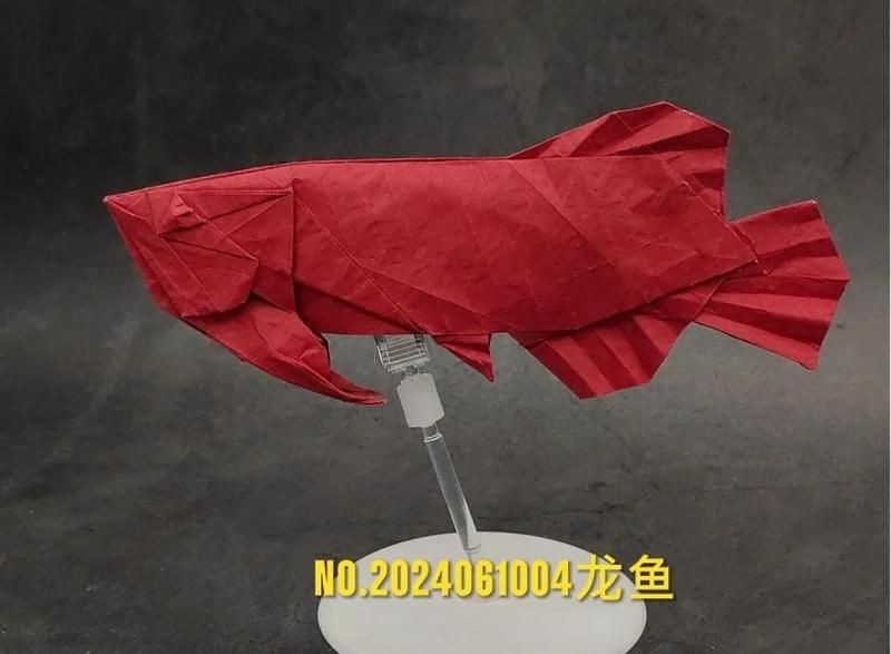 紅龍魚手工制作 龍魚論壇 第6張 紅龍魚手工制作 紅龍魚手工制作 龍魚論壇 第6張
