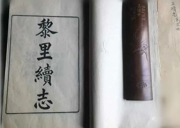 鱭魚與刀魚區(qū)別