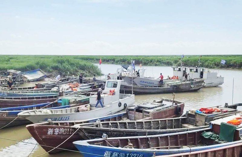 鱭魚與刀魚區(qū)別