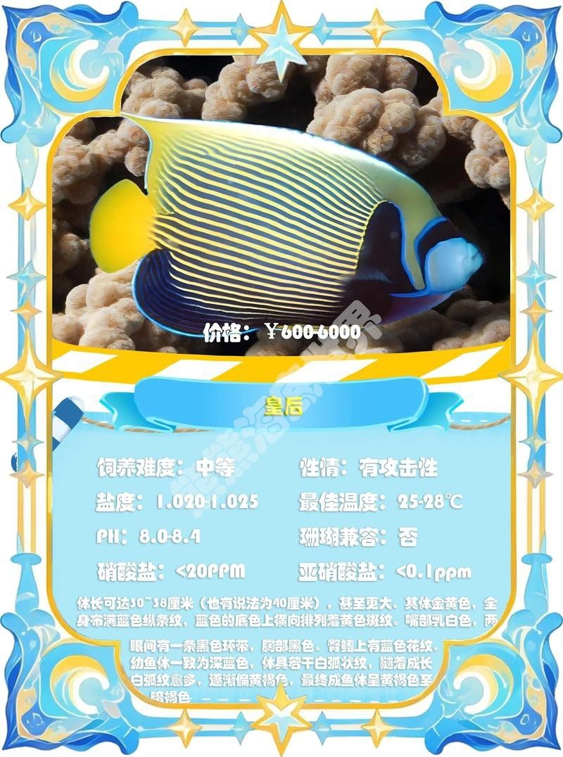 神仙魚圖片大全大圖