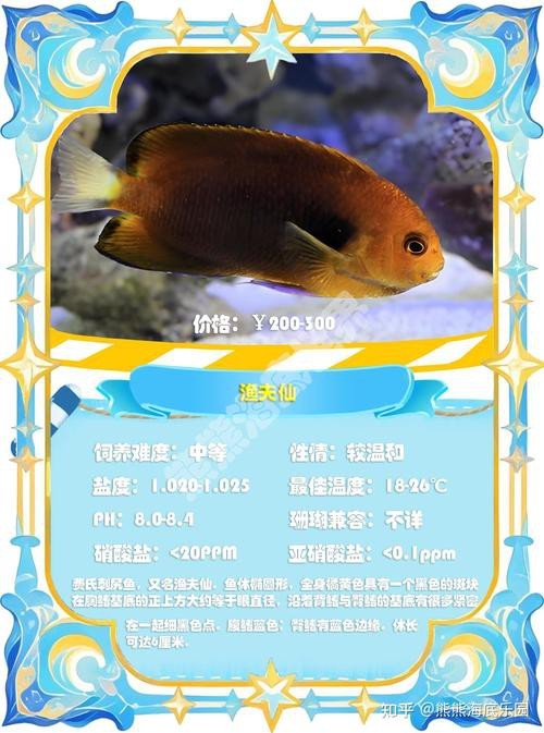 神仙魚圖片大全大圖