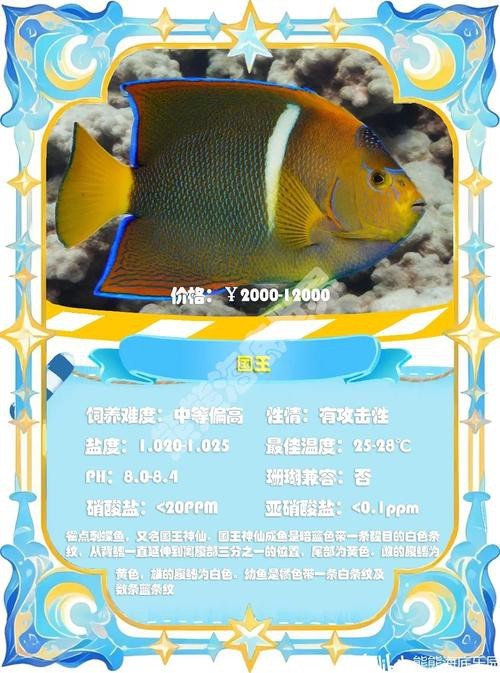 神仙魚圖片大全大圖