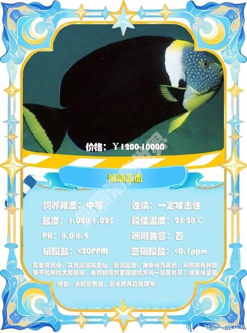 神仙魚圖片大全大圖