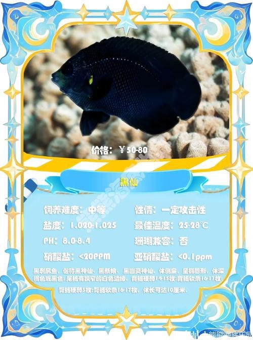 神仙魚圖片大全大圖