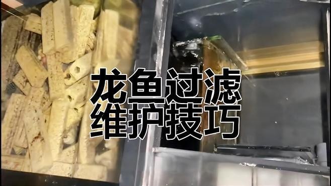 龍魚過濾系統(tǒng)清洗時(shí)需要注意什么？