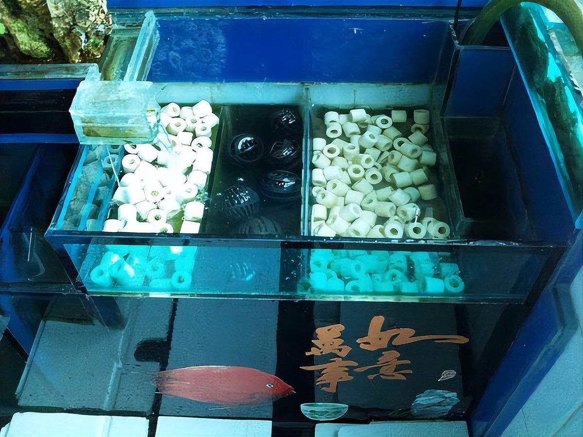 龍魚過濾系統(tǒng)清洗時(shí)需要注意什么？