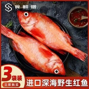 紅色海魚(yú)圖片大全