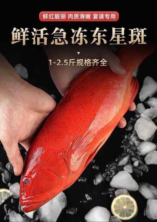 紅色海魚(yú)圖片大全