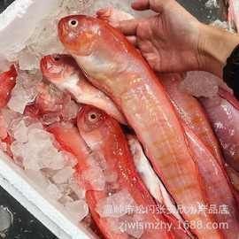 紅色海魚(yú)圖片大全