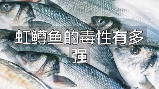 紅甘魚(yú)為何盡量少吃