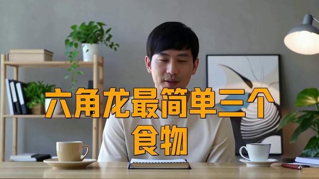 有哪些適合六角龍魚的食物？