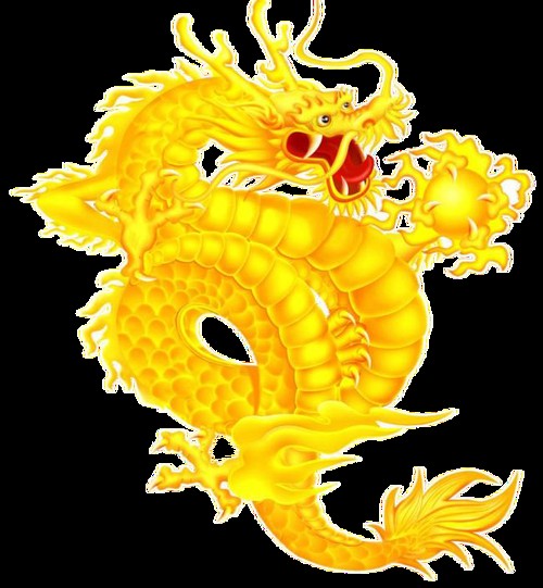 金龍圖片大全大圖