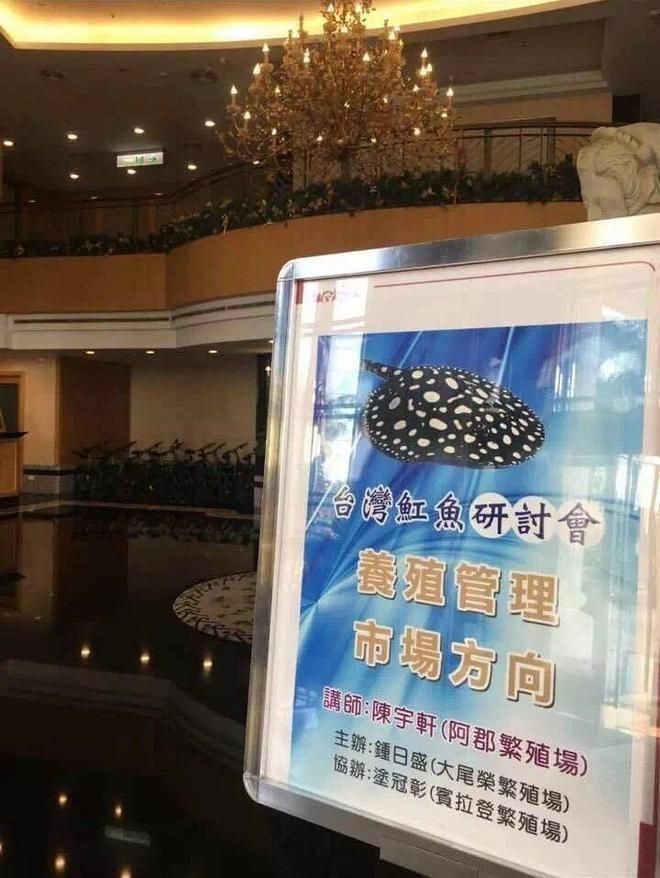 魟魚黑帝是雜牌子嗎