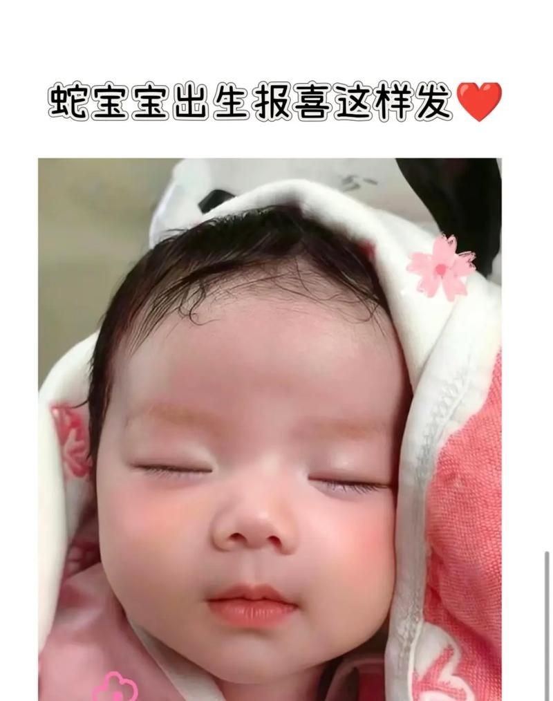 魟魚懷了蛇寶寶圖片