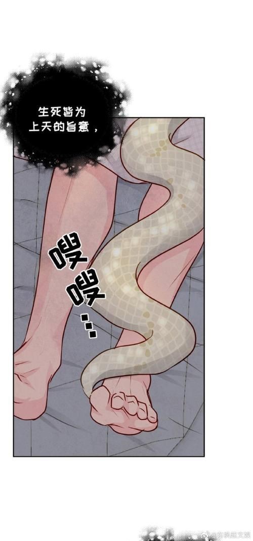 魟魚懷了蛇寶寶圖片